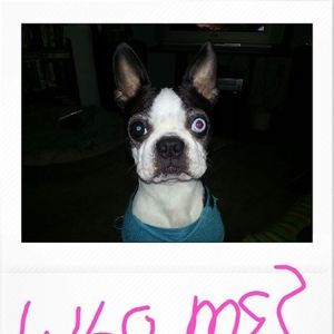 Meet your Posher, Cindy